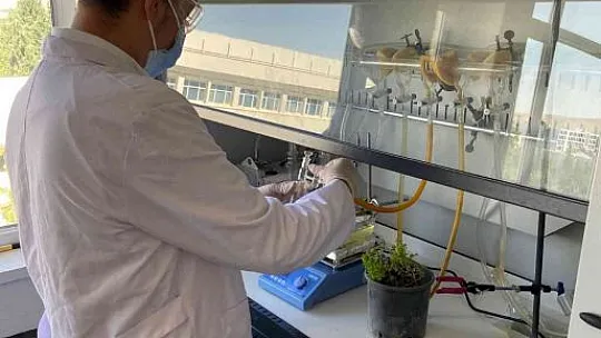 Üniversite öğrencisinden plastiğe çözüm