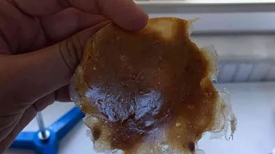 Üniversite öğrencisinden plastiğe çözüm