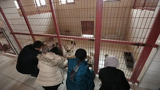 Veteriner Fakültesi'nden Hayvan Hastanesine ziyaret