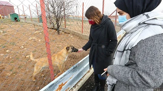 Veteriner Fakültesi'nden Hayvan Hastanesine ziyaret