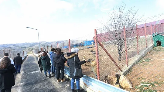 Veteriner Fakültesi'nden Hayvan Hastanesine ziyaret
