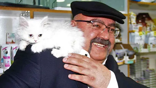 Gakgo Gökalp kediyi görmek için her gün pet shop'a gidiyor