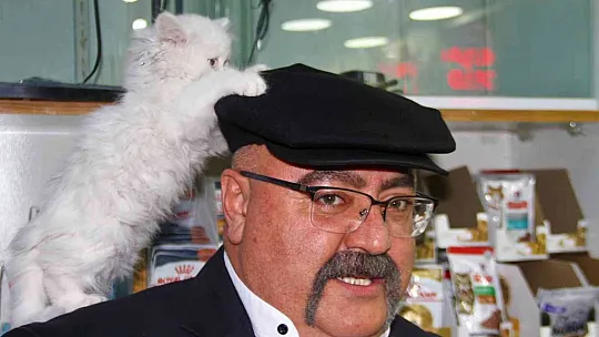 Gakgo Gökalp kediyi görmek için her gün pet shop'a gidiyor