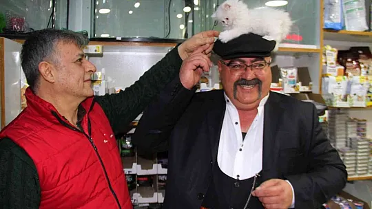 Gakgo Gökalp kediyi görmek için her gün pet shop'a gidiyor