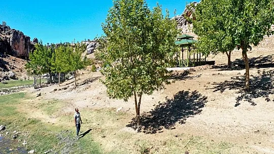 Yeşile olan tutkusu çorak araziyi 23 yılda yeşil kuşağa dönüştürdü