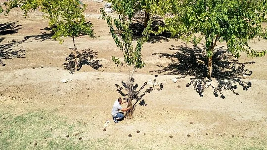 Yeşile olan tutkusu çorak araziyi 23 yılda yeşil kuşağa dönüştürdü