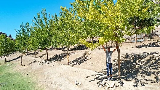 Yeşile olan tutkusu çorak araziyi 23 yılda yeşil kuşağa dönüştürdü