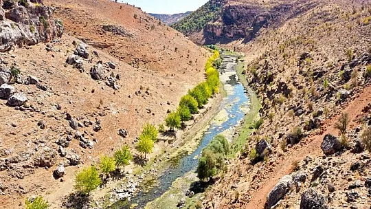 Yeşile olan tutkusu çorak araziyi 23 yılda yeşil kuşağa dönüştürdü