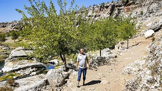 Yeşile olan tutkusu çorak araziyi 23 yılda yeşil kuşağa dönüştürdü