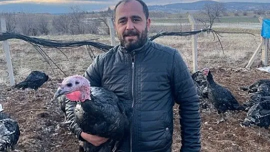 Yılbaşı öncesi Elazığ'dan yurt dışına 15 bin hindi