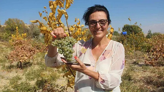 Yıllarca kaldığı Fransa'da en iyi fakültede doktora yaptı, köyüne dönüp tarıma başladı