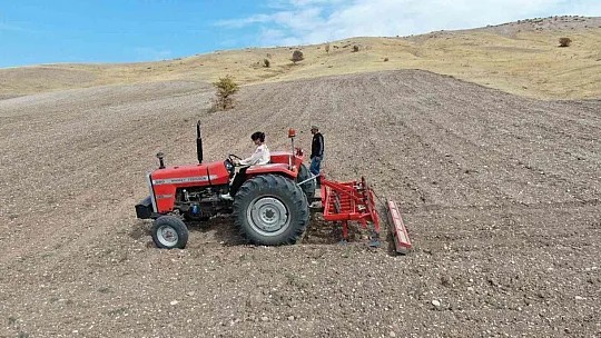 Yıllarca kaldığı Fransa'da en iyi fakültede doktora yaptı, köyüne dönüp tarıma başladı