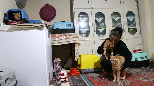 Yıllardır evini paylaştığı 45 kediye engelli maaşıyla bakıyor