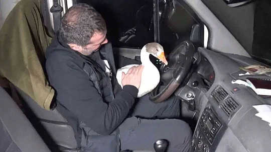 Yolda bularak 'Mamoş' ismini verdiği kazı sahibine teslim etti