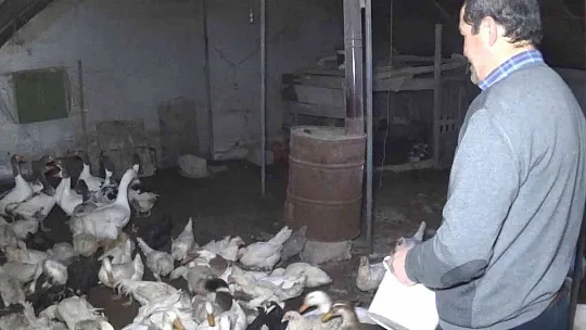 Yolda bularak 'Mamoş' ismini verdiği kazı sahibine teslim etti