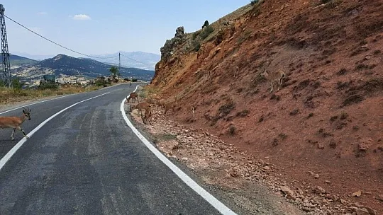 Ergün Akdoğan: O anda içimden geldiği gibi konuştum