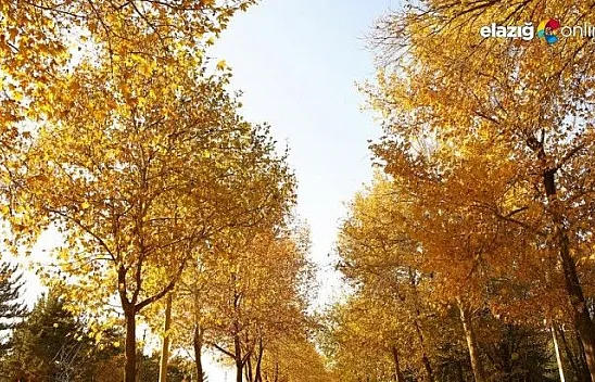 Elazığ'da sonbahar bir başka güzel