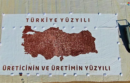 Elazığlı domates üreticilerinden anlamlı mesaj!