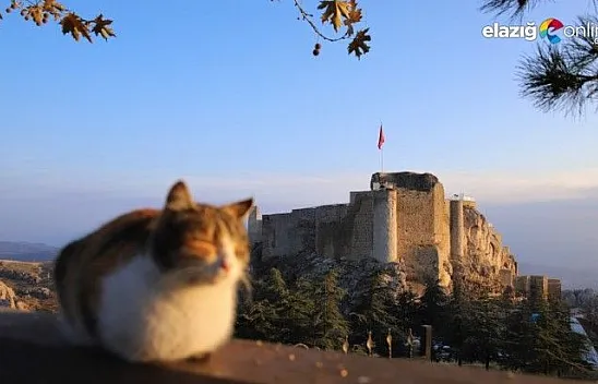 Sessizliğe bürünen Harput'ta sonbahar güzelliği
