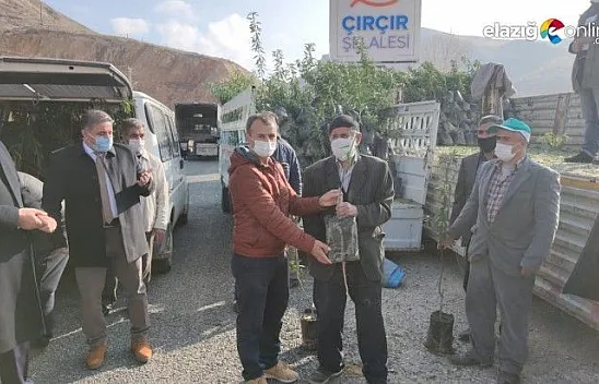27 bin fidan çiftçilere dağıtıldı