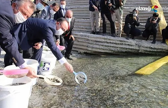 97. yıl anısına 970 bin adet balık yavrusu Keban Barajı'na bırakıldı