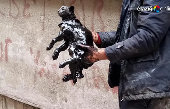 Akaryakıt tankına düşen kedi, itfaiye ekipleri tarafından kurtarıldı