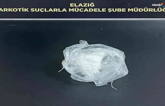 Dedektör köpek 'Alex' yine yakaladı!