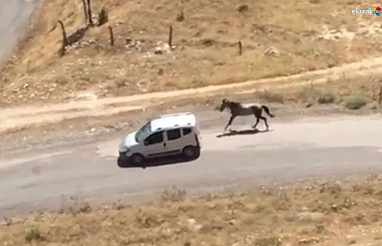 Palu'da pes dedirten görüntüler! Tepkiler çığ gibi