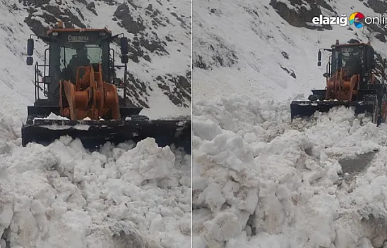 Bingöl'de çığ düştü, kapanan yol kısa sürede açıldı