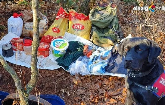 Bingöl'de Yıldırım-9 Operasyonu kapsamında örgüte ait malzemeler ele geçirildi