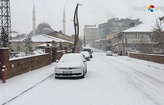 Bingöl genelinde kar yağışı etkili oldu