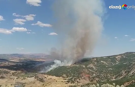 Devam eden orman yangını kontrol altına alındı