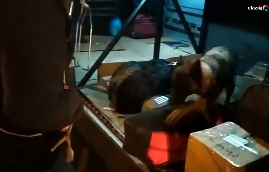 Uyuşturucu tacirleri 'Nina'yı hesap edemedi! Şimdi gözaltındalar