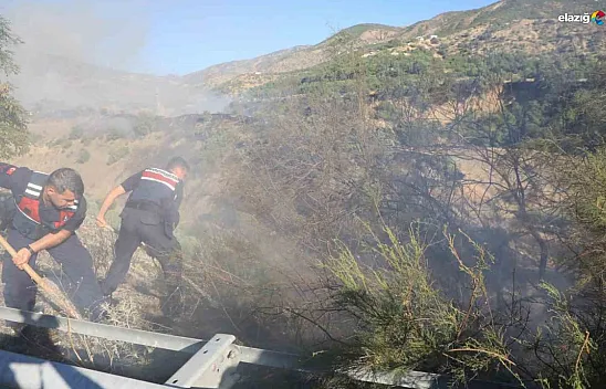 Elazığ'da bir saat içerisinde üç farklı bölgede yangın!