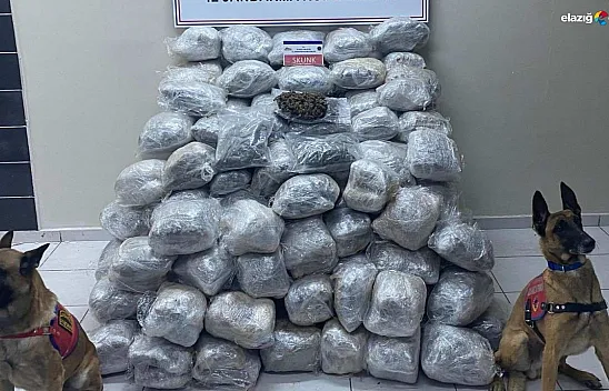 Elazığ'da skunk operasyonu!