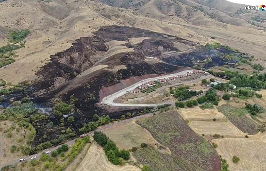Elazığ Cevizdere köyünde yangın: 200 dönüm arazi kül oldu