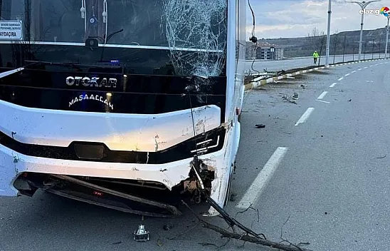 Aydınlatma direğine çarparak durabildi