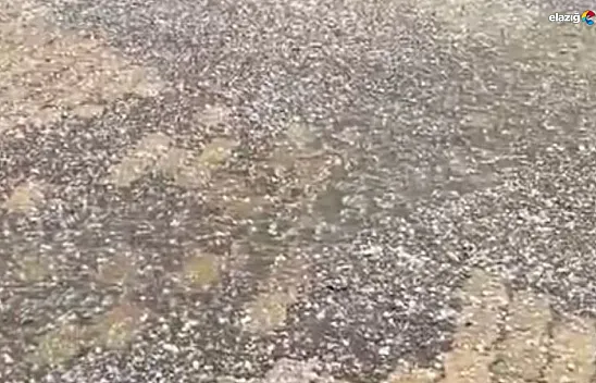 Kısa sürede çevreyi beyaza bürüdü