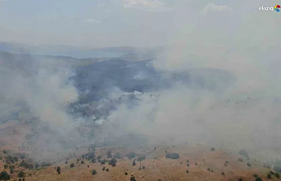 Elazığ'da orman yangını! Müdahale sürüyor