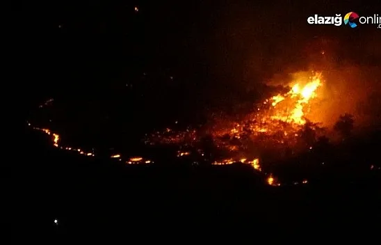 Elazığ'da orman yangını, müdahale sürüyor