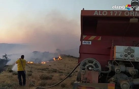 Elazığ'da örtü yangını