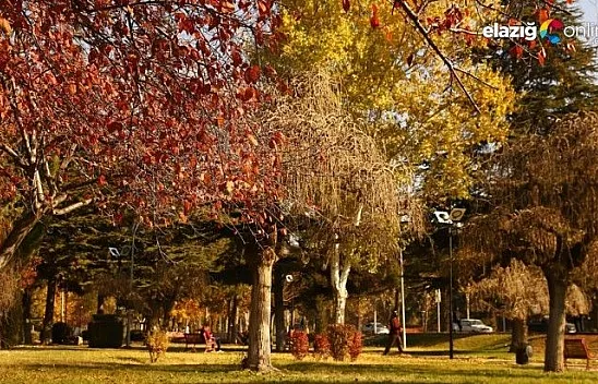 Elazığ'da sonbahar bir başka güzel