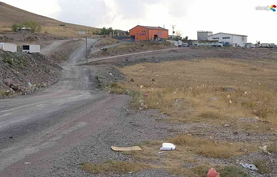 Elazığ'da vahşet! İşkence ettiği kadını öldürüp cesedini çöp toplama merkezi yakınına attı