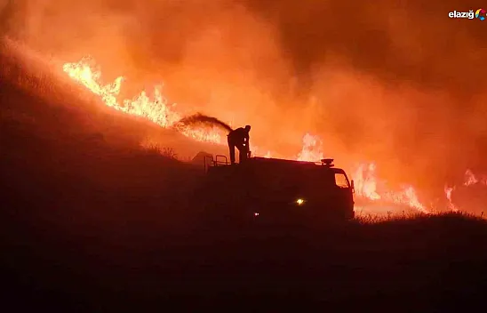 Elazığ'da Rüzgarın Etkisiyle Büyüyen Yangın, Köyde Tahliyeye Neden Oldu!