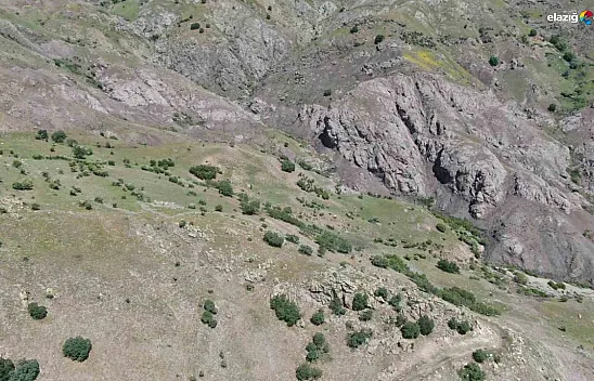 Dilara Günana cinayetin detayları ortaya çıktı