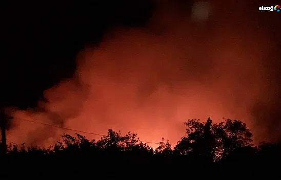 Sivrice'de çıkan orman yangınına ekiplerin müdahalesi sürüyor! Şu ana kadar 500 dönüm alan zarar gördü