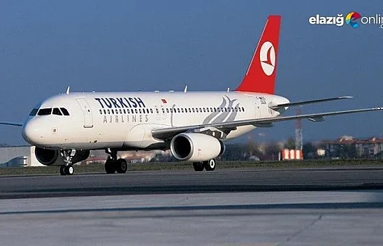 Elazığ Havalimanı 2020 yılı Kasım sonu yolcu sayısı açıklandı