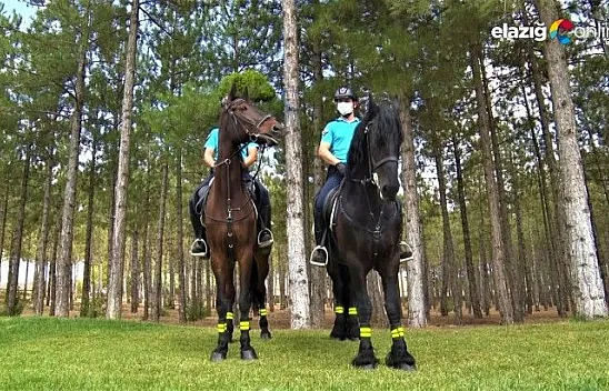 Atlı birlikler, önleyici hizmet devriyesi yapacak