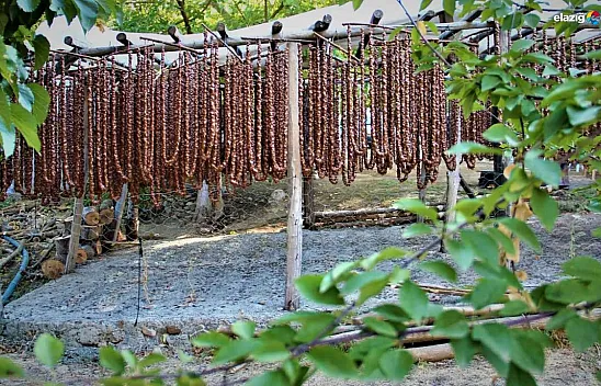 Elazığ orciği Almanya, Hollanda ve Amerika sofralarında