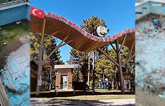 Gerçek belediyecilik bu mu?